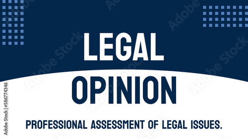 Legal Opinion: Professional legal advice or interpretation.