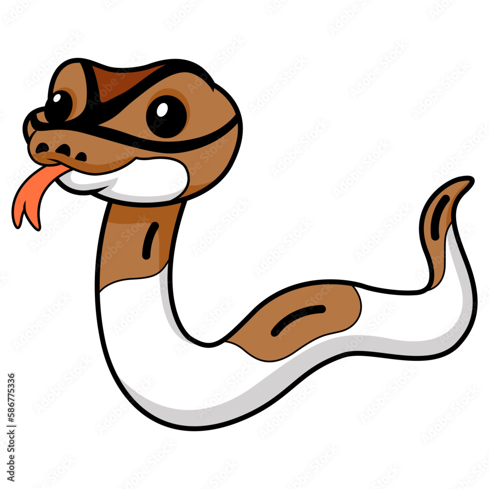 Fototapeta premium Cute pied ball python cartoon