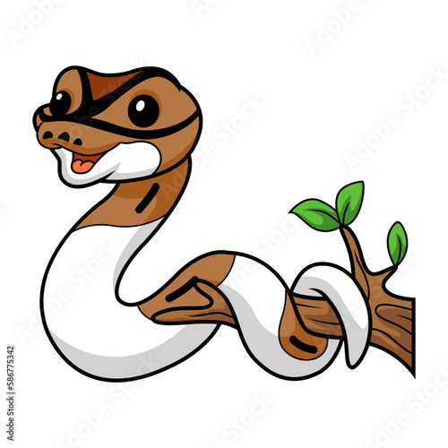 Cute pied ball python cartoon on tree branch