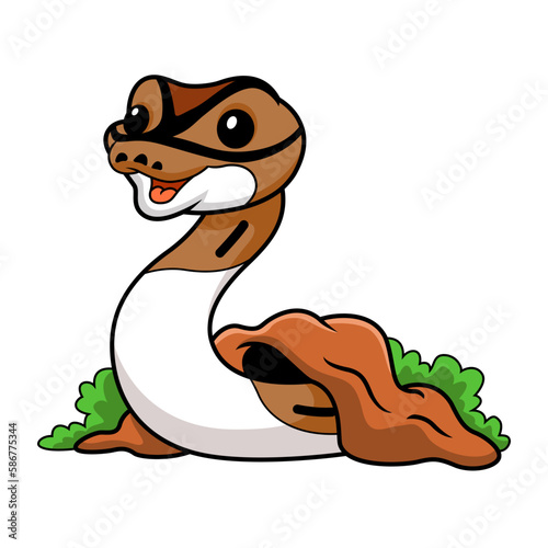 Cute pied ball python cartoon out from hole
