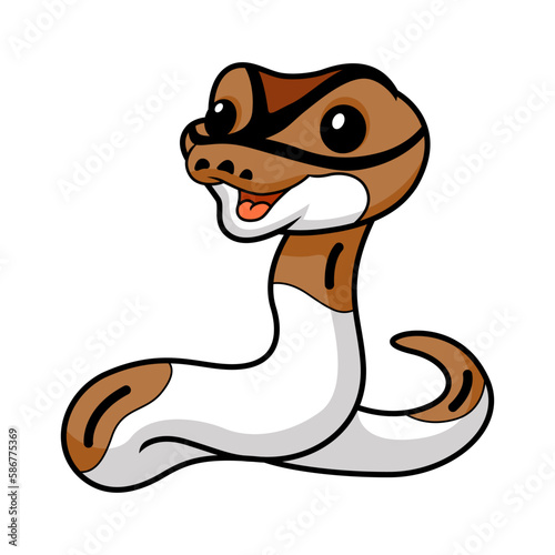 Cute pied ball python cartoon