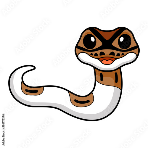 Cute pied ball python cartoon