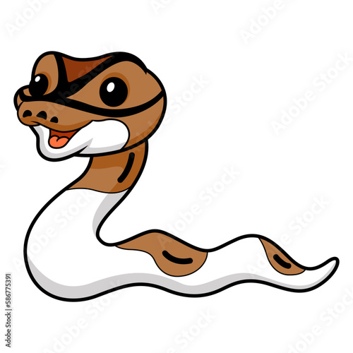 Cute pied ball python cartoon