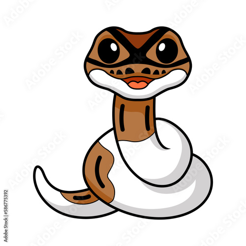 Cute pied ball python cartoon