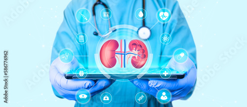 Nephrology, medical care for kidney problems. Kidneys, kidney pain, kidney cysts, kidney failure, cancer. Organ donor, Doctor with tablet on light blue background. technology in medicine