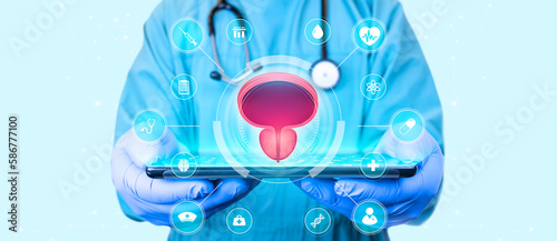 Bladder and prostate, HTA. Prostate cancer, bladder cancer, men's health care. Modern digital medicine in urology. Doctor with tablet on sky background. photo