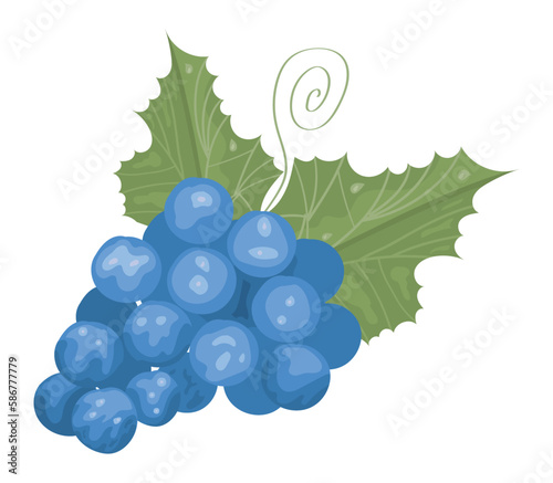 grapes fresh fruit healthy