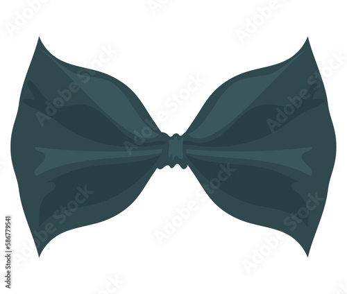 male bowtie accessory