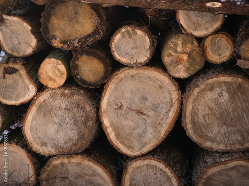 Pile of wood log