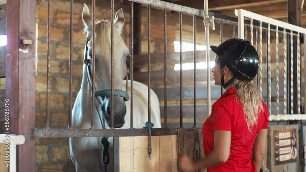 A woman dressed in red leads a white horse out of the stall. A woman dressed in red leads a white horse out of the stall.