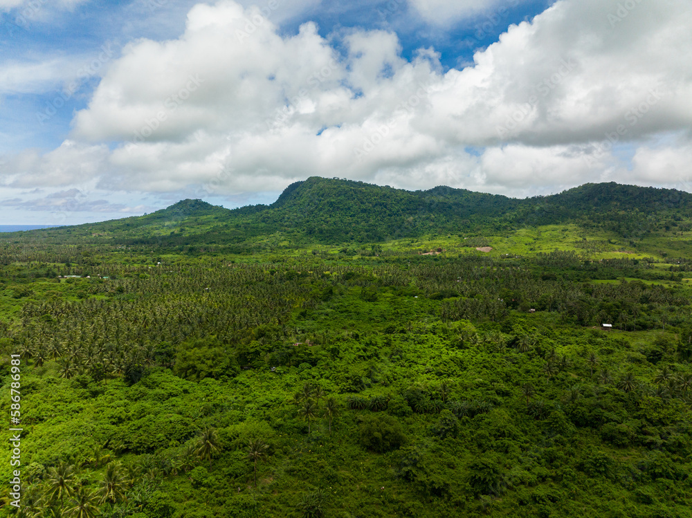 Aerial view of island is covered with tropical forest and jungle. Balabac, Palawan. Philippines.