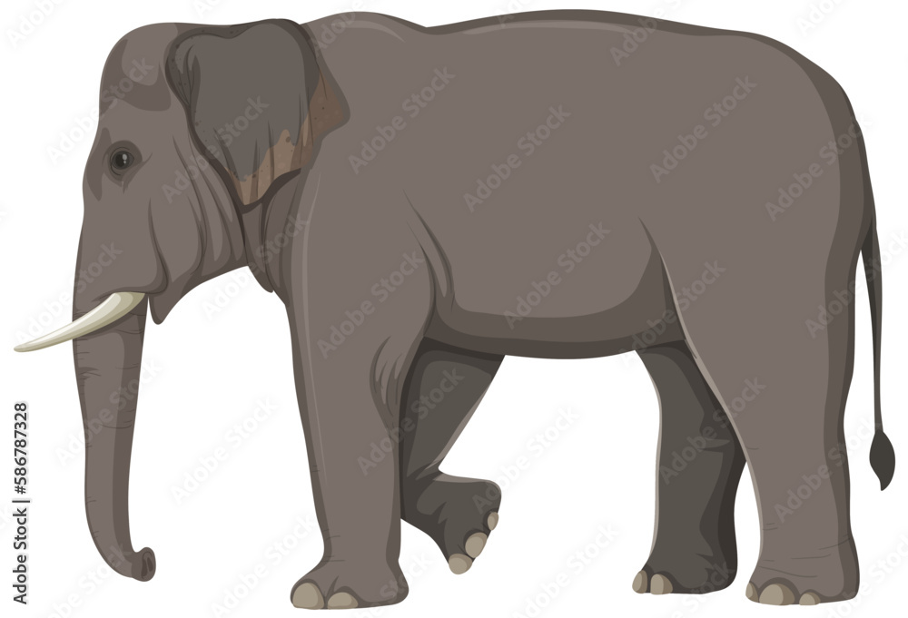 Elephant Anatomy Concept for Science Education