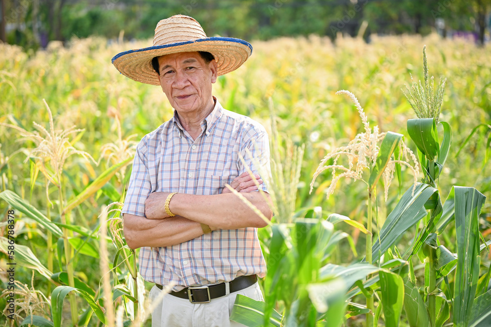 A happy Asian-aged male farmer in straw hat stands in his cornfield with arms crossed.