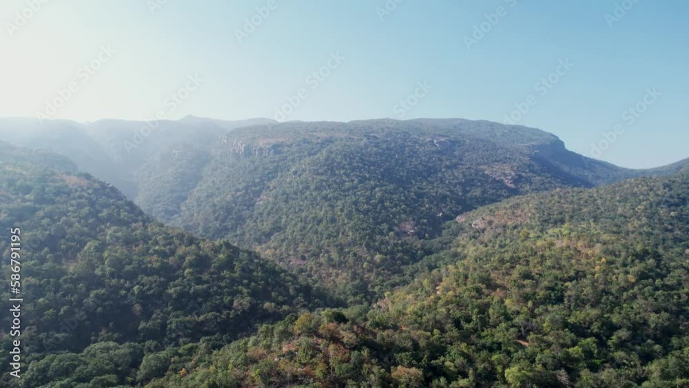 Den forest located in the border of Tirupati. Den forest located in the border of Tirupati.