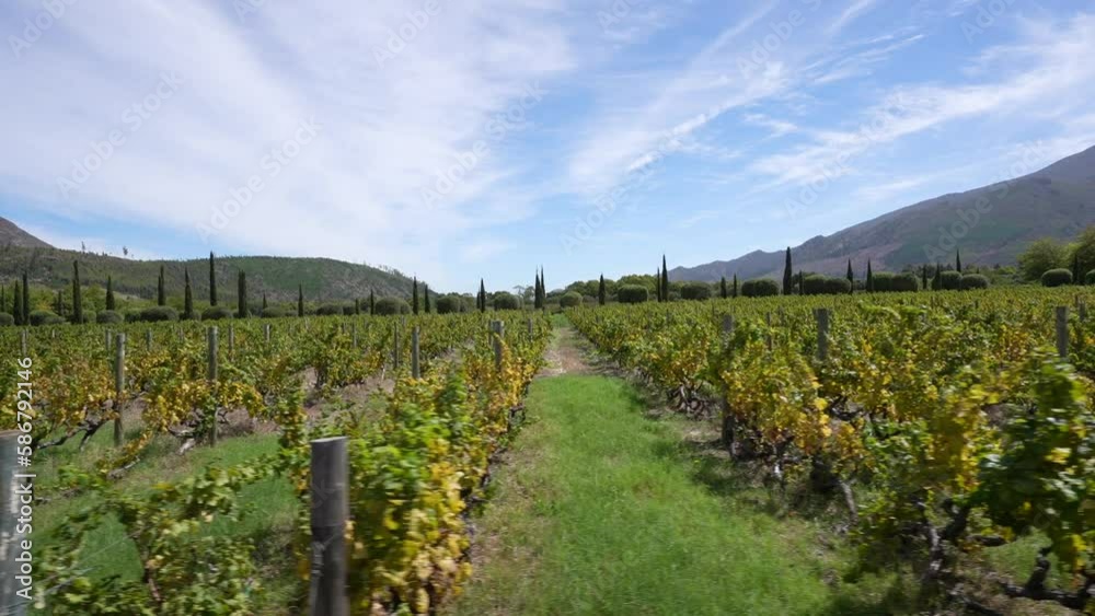 Wine farm in Franschoek, Western Cape, South Africa Wine farm in Franschoek, Western Cape, South Africa