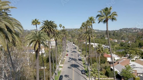 Los Angeles Palm Trees, Beverly Hills California, Aerial View, 4K