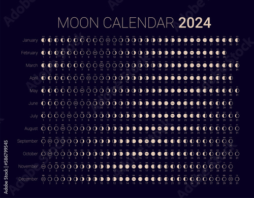 Moon phase cycle 2024 year astrological calendar design template. Lunar monthly cycle planner banner, poster template, moon schedule calendar at night sky background vector illustration