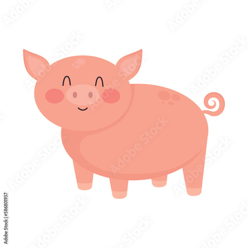 Cheerful piglet standing in farm