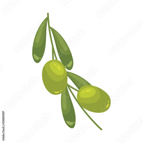 Fresh olive branch healthy vegetarian eating