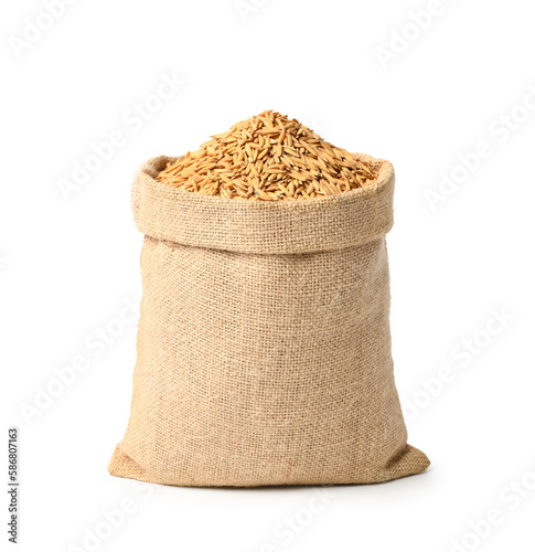 Paddy rice in burlap sack bag isolated on white background.