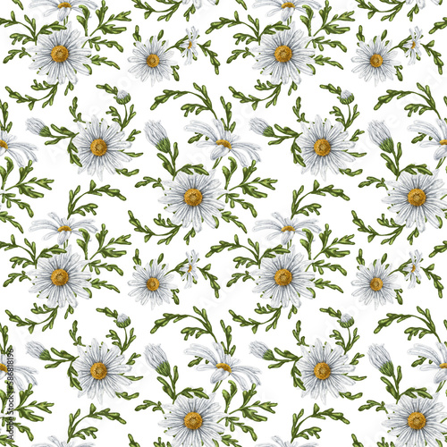 Seamless hand drawn pattern with white chamomiles. Flower background for textiles, fabrics, banner, wrapping paper and other designs. Digital illustration on white background