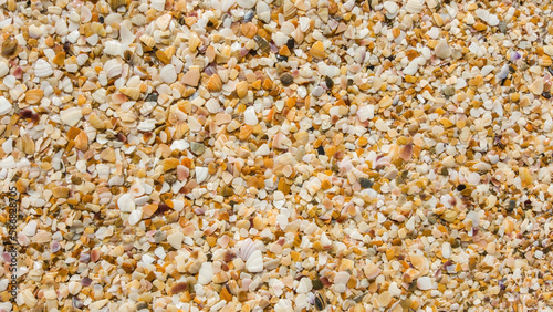 Shells broken on sea beach close-up, top view, uniform texture background