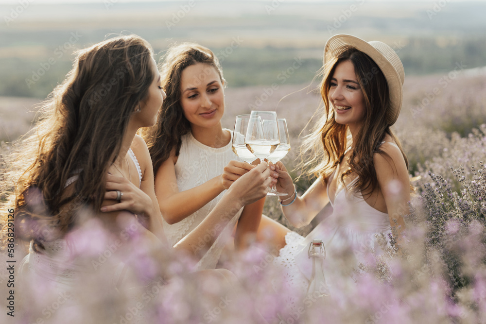 Young and happy woman who enjoys amazing scenery and sunset at picnic. They clinking glasses with wine.