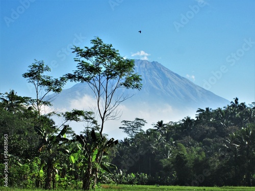 The Beautiful View Of Gunung Sumbing Or Sumbing Mountain Shot From Margoyoso, Magelang, On A Daylight photo