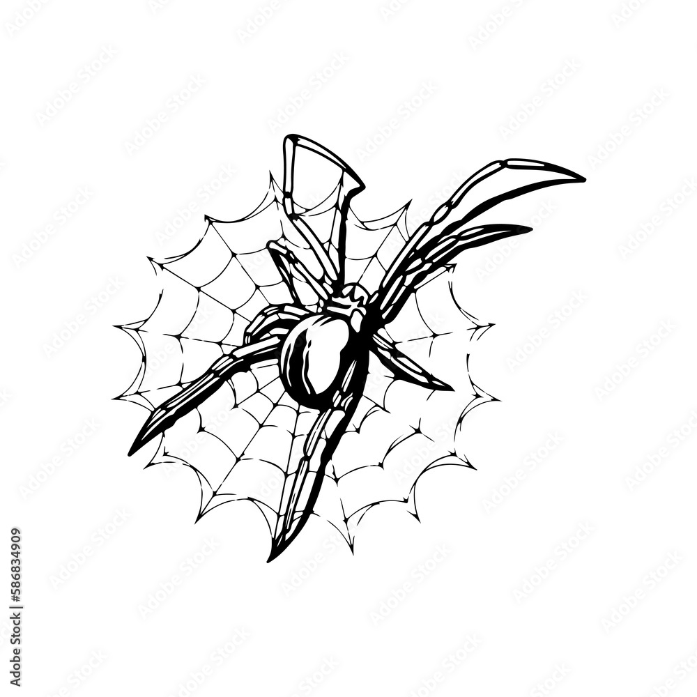 vector illustration of a spider with a web vector illustration of a spider with a web