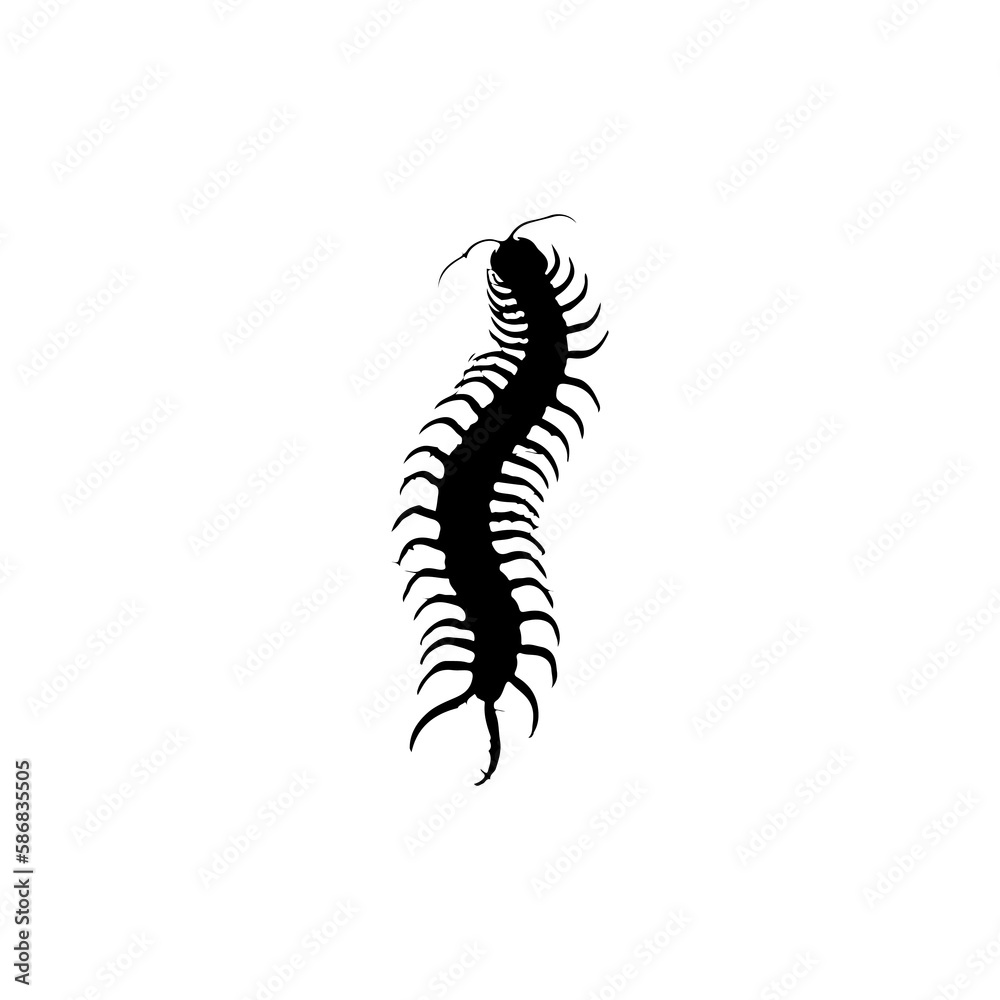 vector illustration of a centipede silhouette vector illustration of a centipede silhouette