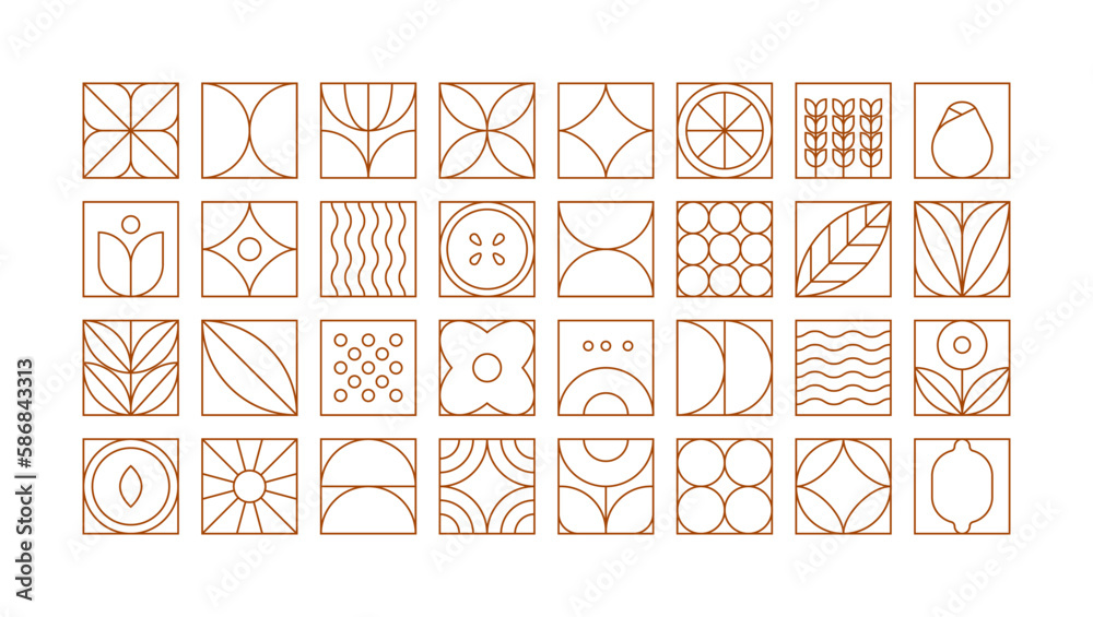 Geometric food floral pattern. Minimal line natural organic plant fruit shape eco agriculture concept. Vector simple set - obrazy, fototapety, plakaty 