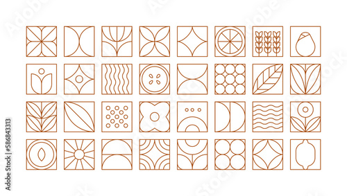 Fotografia, Obraz Geometric food floral pattern