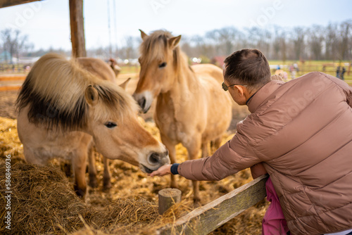 People feeding horses in contact zoo with domestic animals and people in Zelcin, Czech republic.