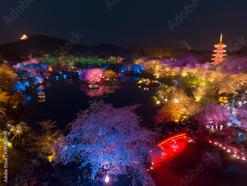 Wuhan East Lake Mushan Cherry Blossom Garden Night scenery photo