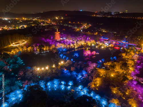 Wuhan East Lake Mushan Cherry Blossom Garden Night scenery photo