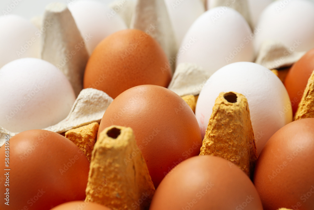 Main ingredient for cooking different dishes- eggs Main ingredient for cooking different dishes- eggs