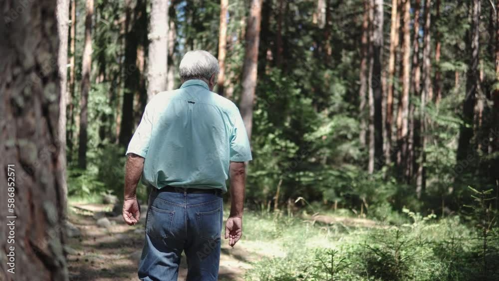 Senior active fit man walking on the forest patway, country walk Senior active fit man walking on the forest patway, country walk