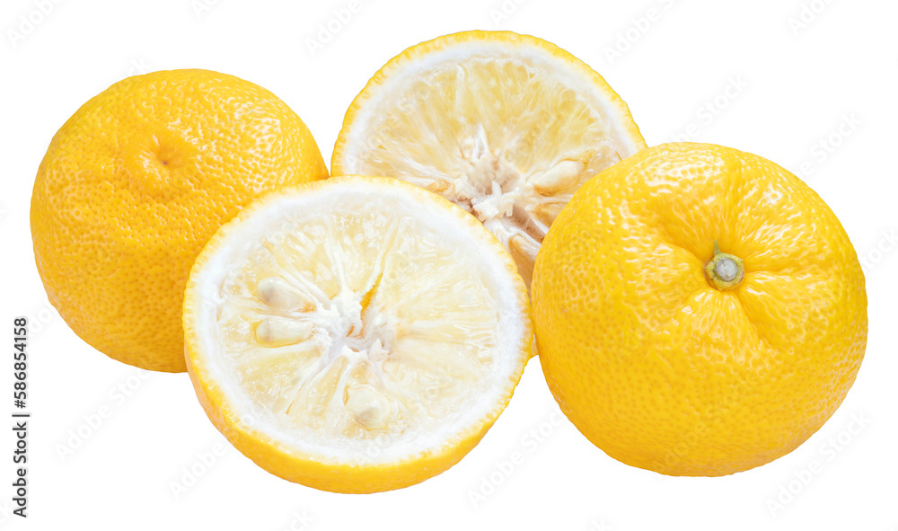 Yuzu Orange fruit on White backghround. Sweet Yuzu Orange fruit isolate on white PNG File Yuzu Orange fruit on White backghround. Sweet Yuzu Orange fruit isolate on white PNG File