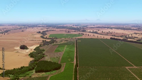 Aerial view of Malleco Valley in Chile. Comparison between vineyards and wheat plantations can be seen from above with volcanoes in the background. photo