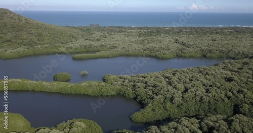 Lateral flight of lagoon, jungle, mangrove and in the background the sea. photo