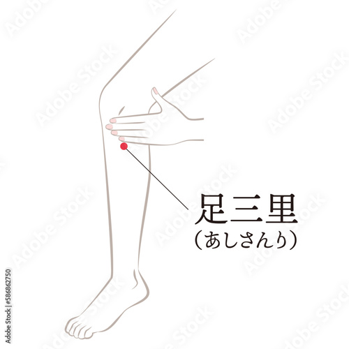 足のツボ　足三里