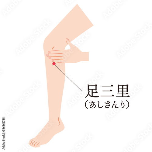 足のツボ　足三里