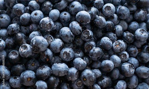 blueberry. Fresh Bilberries. Close-up background.