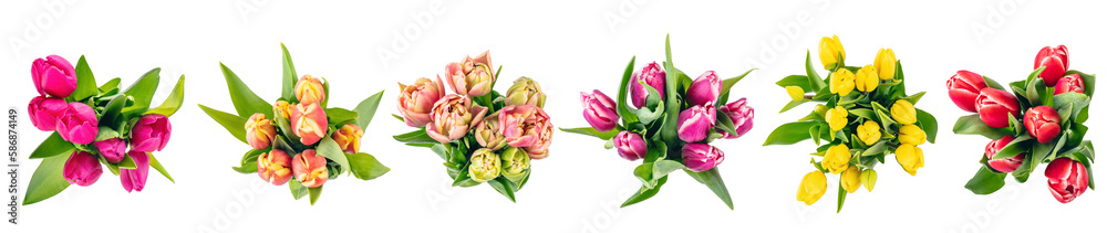 Tulip flowers bouquets collection view from above, set isolated on transparent white Tulip flowers bouquets collection view from above, set isolated on transparent white