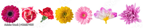 Flowers close-up collection view from above, set isolated on transparent white background