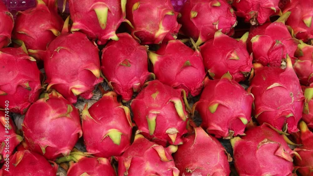 dragon fruits pitahayas in a row at fruit market