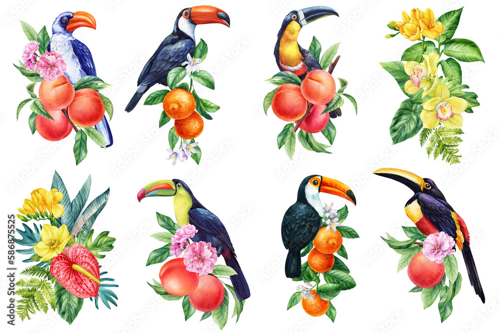Obraz premium Bird sits on branch with ripe fruits. set flower and palm leaves, isolated on white background. Watercolor painting