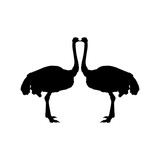 Pair of the Ostrich Silhouette for Logo, Pictogram, Art Illustration or Graphic Design Element. Vector Illustration