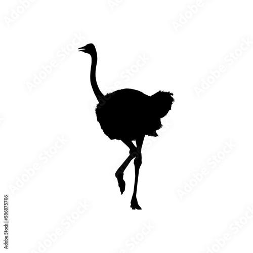 Ostrich Isolated Silhouette for Logo, Pictogram, Art Illustration or Graphic Design Element. Vector Illustration