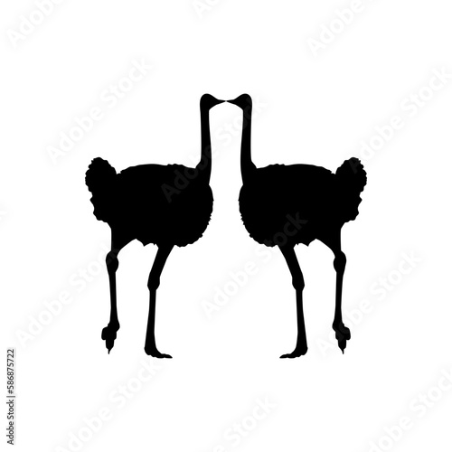 Pair of the Ostrich Silhouette for Logo, Pictogram, Art Illustration or Graphic Design Element. Vector Illustration